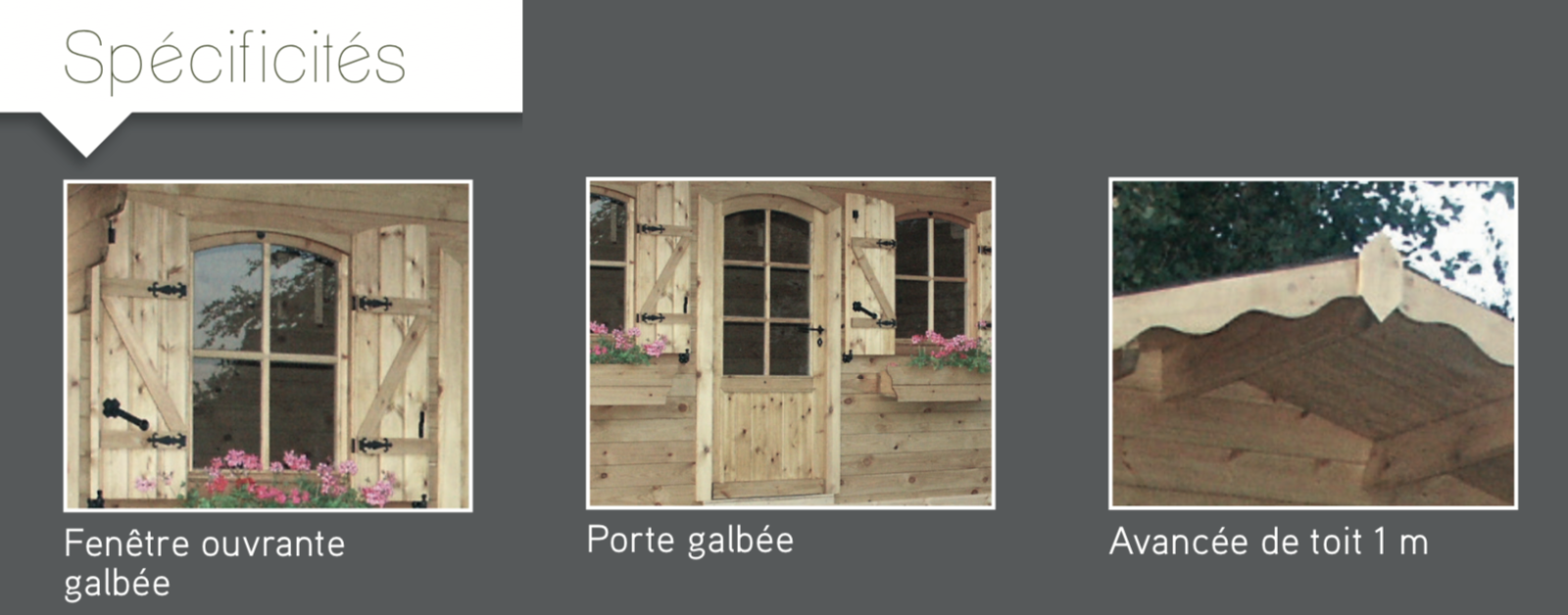 Avoriaz Spécificités Fenêtre ouvrante galbée Porte galbée Avancée de toit 1 m abri de jardin en bois